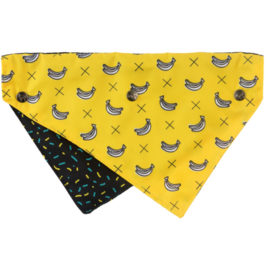 Bandana Monkey Mania (M/L)