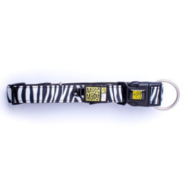 Collar neopreno Zebra Classic (S)