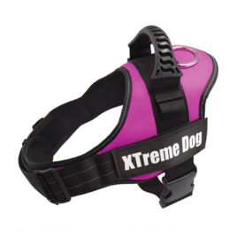 Arnés Xtreme Dog rosa XS