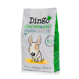 Dingo Chicken & Daily