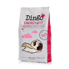 Dingo Energy & Fit