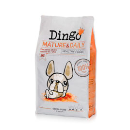 Dingo Mature & Daily